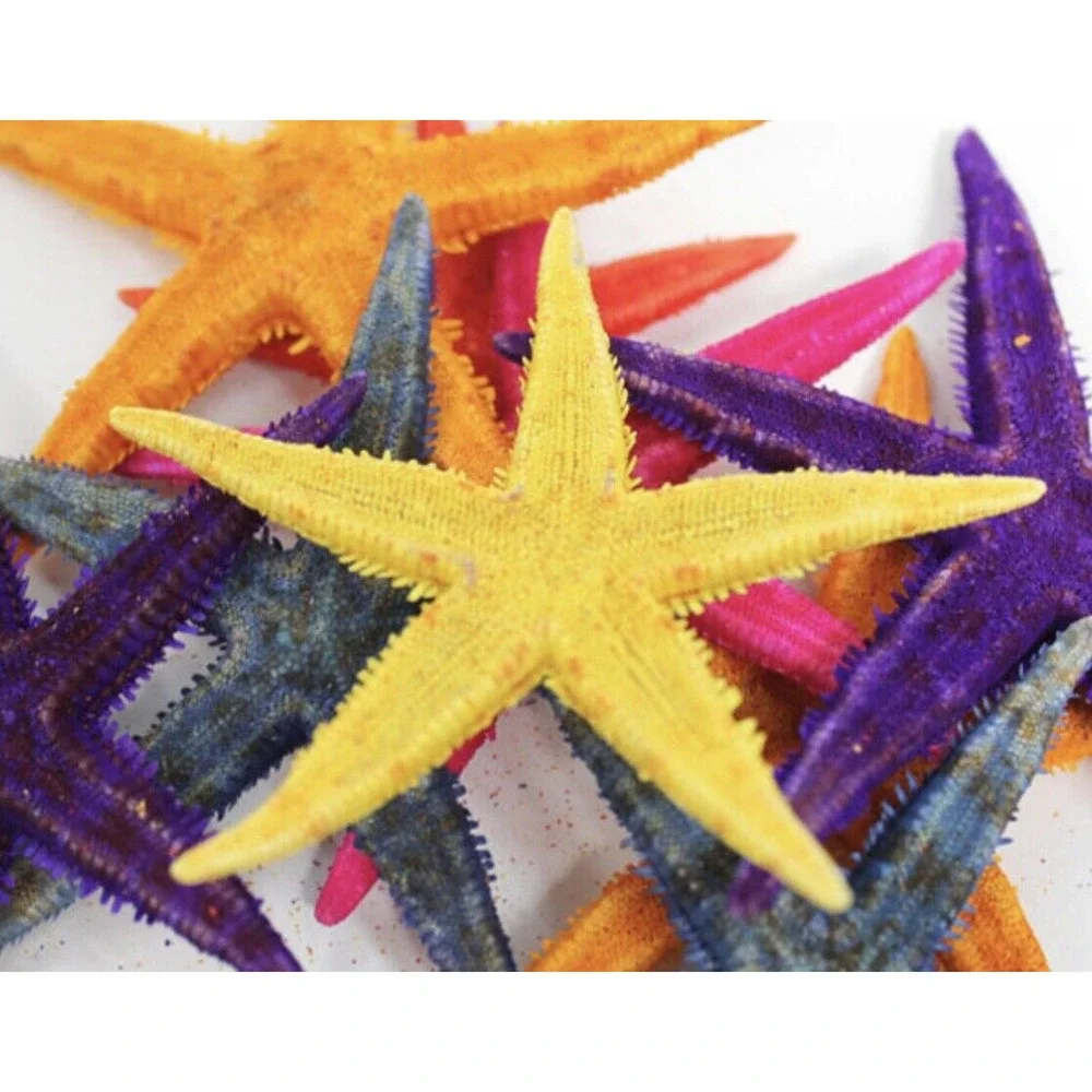 100‎ Colorful Natural Starfish Mini Crafts Wedding Decorations Micro Landscape